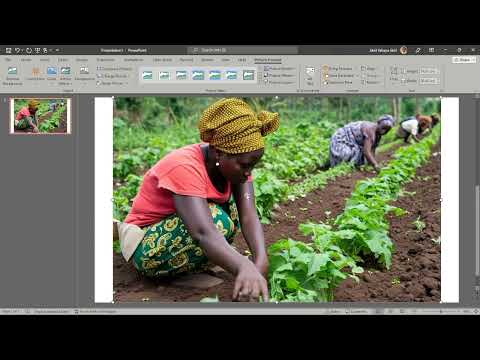 Microsoft PowerPoint